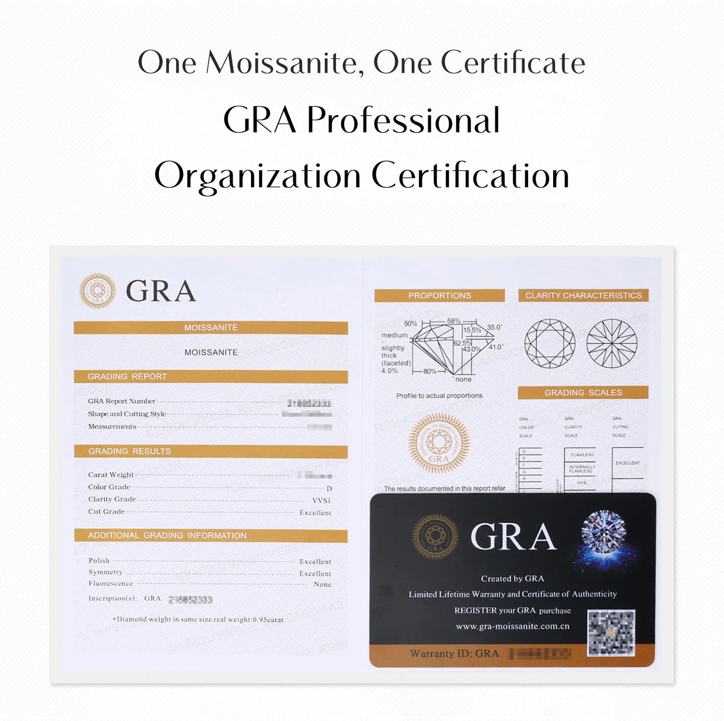 Dazzle Loop – Moissanite Hoop Earrings