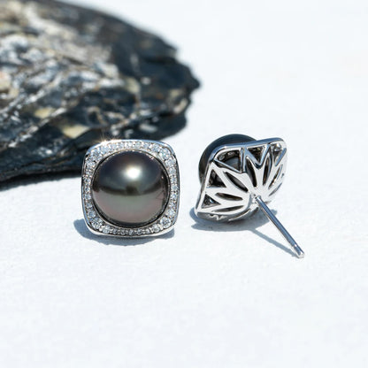 Midnight Elegance – Tahiti Perlen Ohrstecker 9–10 mm mit S925 Silber